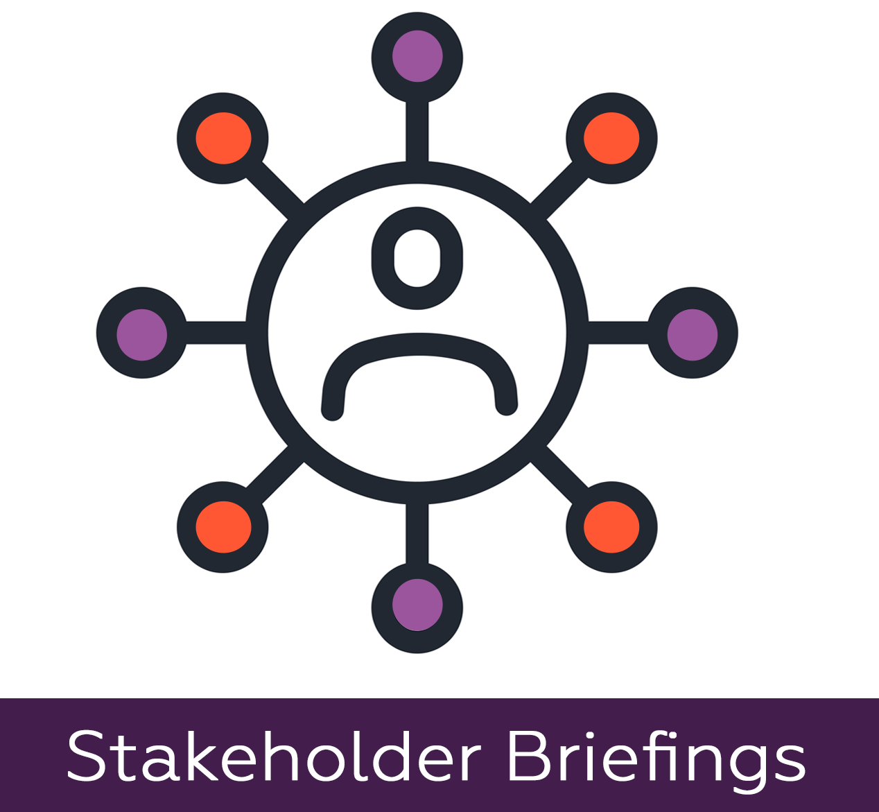 Online Stakeholder Briefing - Damien McCallion, HSE